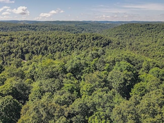 0 Whitewater Pkwy Unit Lot WP001 20690951, Bruceton Mills, WV 26525