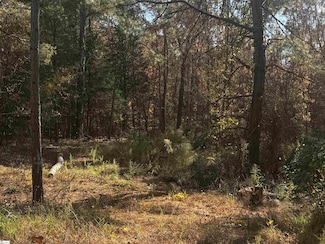 1206 Cheeks Cir, Gray Court, SC 29645