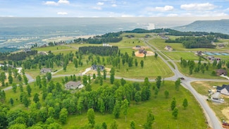 - River Bluffs Dr, Jasper, TN 37347