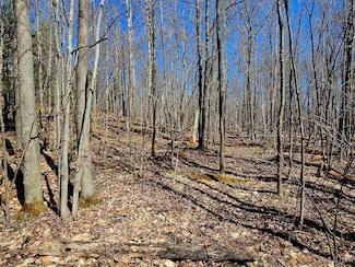 TBD  W 10 Acres Prospect Dr, Bessemer, MI 49911
