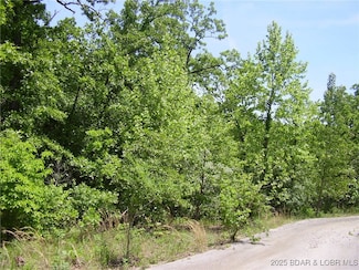 20 Silver Spur Ct, Camdenton, MO 65020