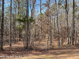 Lot 3 Stagecoach (Deer Run Phase 2), Dadeville, AL 36853