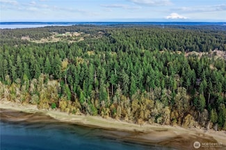 9538 Steffenson Rd, Anderson Island, WA 98303