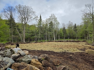 270 Bergabhang Dr, Readsboro, VT 05350
