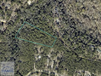 00 Lakeview Dr, Jesup, GA 31545