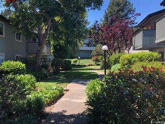 415 Piccadilly Place Unit 1, San Bruno, CA 94066