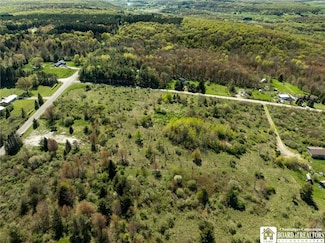 522 Bush Hill Rd, Franklinville, NY 14737