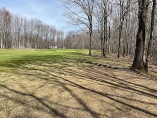 59 Knapp Rd, Houghton Lake, MI 48629