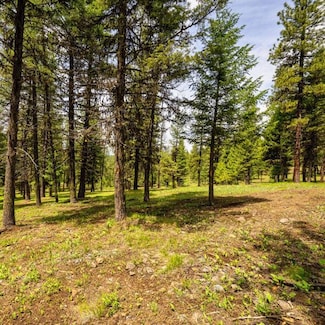 Lot 20 To Be Determined Unit 20, McCall, ID 83638