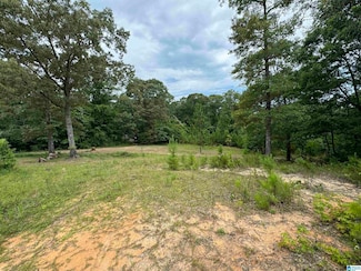 0 County Road 1113 Unit 1, Troy, AL 36079