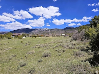 184 N Mountain View Rd Unit 184, Mount Pleasant, UT 84647