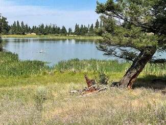 0 Tbd Braziel Creek Rd, Helmville, MT 59843