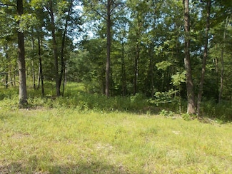 0 Cypress Ck Dr Off Sales Landing Rd Unit 132867, Camden, TN 38320