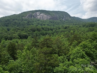 Lot 159 Sullivan Ln, Lake Lure, NC 28746