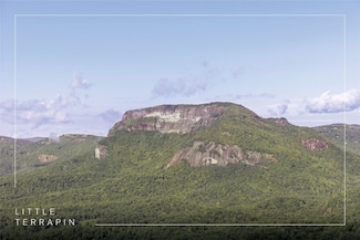 850 Little Terrapin Rd, Cashiers, NC 28717