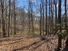 LOT 12 Turkey Creek Rd, Natchez, MS 39120