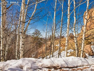553 Buckhorn Rd, Cripple Creek, CO 80813