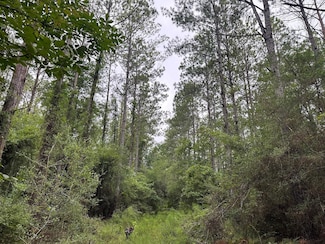 0 Lambert Quarters Rd Unit 21763086, Packards Bend, AL 36751