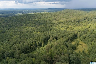 4255 Kelly Creek Rd, Odenville, AL 35120
