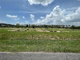 00000 SE 170th Ave, Weirsdale, FL 32195
