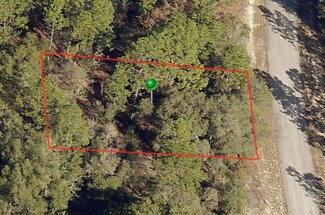 10120 N Sabre Dr, Dunnellon, FL 34434