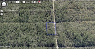 00 Nash St, Hastings, FL 32145