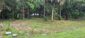 5589 N Brookgreen Dr, Crystal River, FL 34428