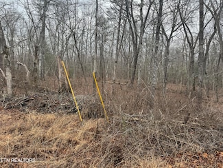 4011 Klamath Cir, Crossville, TN 38572