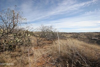 0000 N Alice Dr, Oracle, AZ 85623