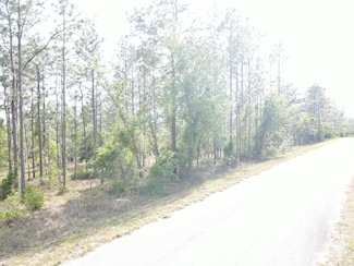 Lot 20 Shamrock Ave, Dunnellon, FL 34431