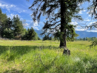 Nhn Whitepine Creek Rd, Trout Creek, MT 59874