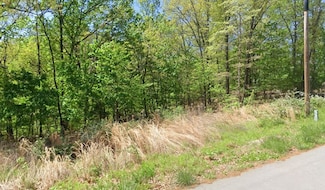 Lot 2 Selkirk Dr, Bella Vista, AR 72715