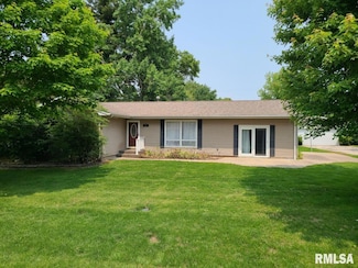 202 5th St, Matherville, IL 61263
