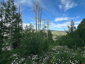 162 Double Diamond Dr, Durango, CO 81301