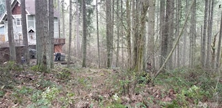 17840 Upland Dr SE, Yelm, WA 98597