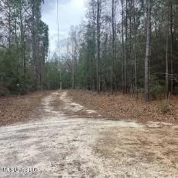 100 Marty Ln, Perkinston, MS 39573
