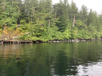 L11-13 Pennock Island, Ketchikan, AK 99901