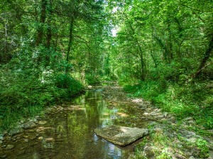 0 County Road 231 Unit H149207, Saint Joe, AR 72675