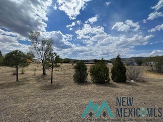 0 Second Unit 20223194, Raton, NM 87740