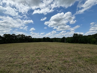 133 Coon Hunters Rd, Golconda, IL 62938