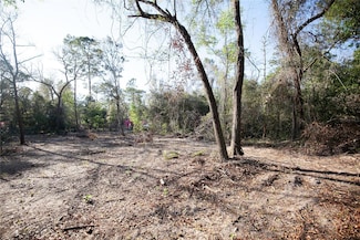 48032 1st St, Altoona, FL 32702