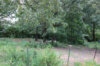 127 Union Hill Rd, Scotts Hill, TN 38368
