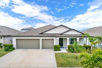 16675 Carlton Pond St, Wimauma, FL 33598