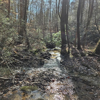 3409 Flagpole Rd, Ellijay, GA 30540
