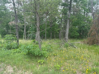 2250 S Stanberry, Baldwin, MI 49304