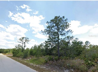 908 Imperial Oak St, Lake Placid, FL 33852