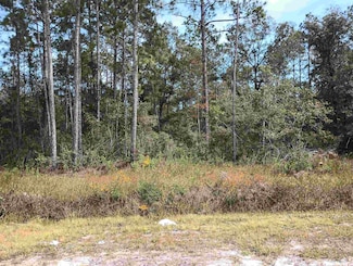 10440 Flikkema Ave, Hastings, FL 32145