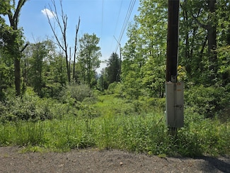 0 Campville & Cafferty Unit 331498, Endicott, NY 13760