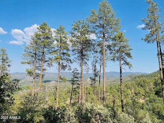 2075 S Snowy Ridge Dr S, Prescott, AZ 86303
