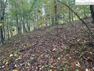 Lot 24 Walnut Hills Cir, Crumpler, NC 28617